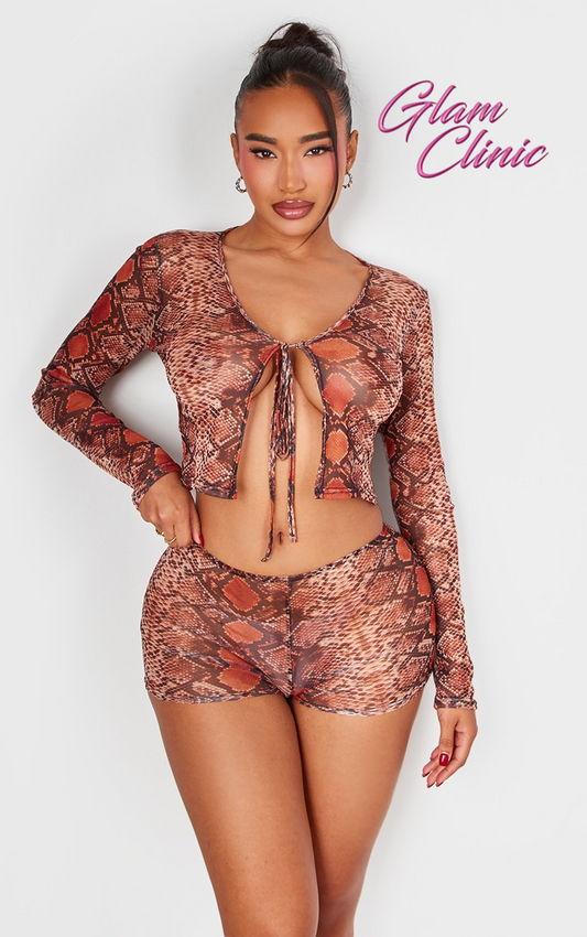 Shape Brown Mesh Snake Printed Tie Front Top